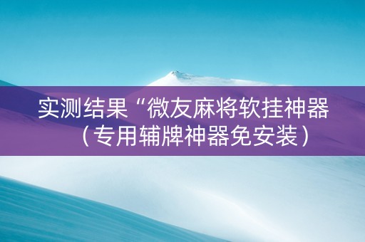 实测结果“微友麻将软挂神器（专用辅牌神器免安装）