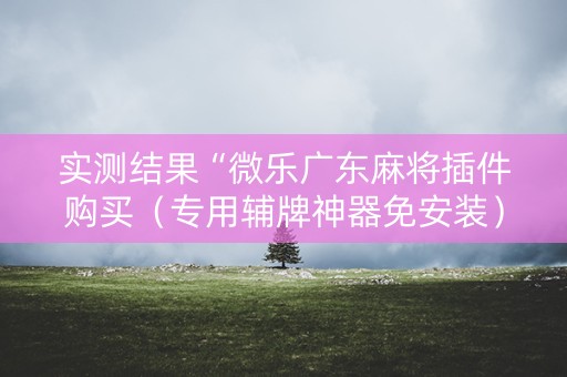 实测结果“微乐广东麻将插件购买（专用辅牌神器免安装）