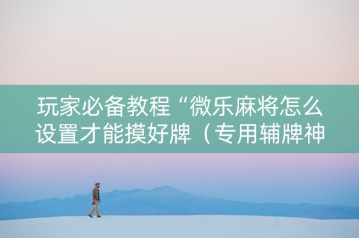 玩家必备教程“微乐麻将怎么设置才能摸好牌（专用辅牌神器免安装）