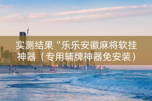 实测结果“乐乐安徽麻将软挂神器（专用辅牌神器免安装）