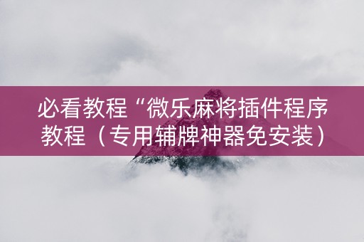 必看教程“微乐麻将插件程序教程（专用辅牌神器免安装）