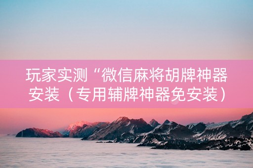 玩家实测“微信麻将胡牌神器安装（专用辅牌神器免安装）