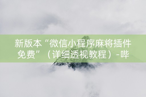 新版本“微信小程序麻将插件免费”（详细透视教程）-哔哩哔哩