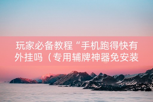 玩家必备教程“手机跑得快有外挂吗（专用辅牌神器免安装）