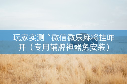 玩家实测“微信微乐麻将挂咋开（专用辅牌神器免安装）