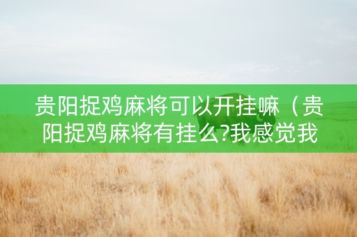 贵阳捉鸡麻将可以开挂嘛（贵阳捉鸡麻将有挂么?我感觉我遇到挂了）