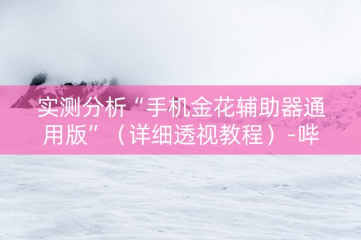 实测分析“手机金花辅助器通用版”（详细透视教程）-哔哩哔哩