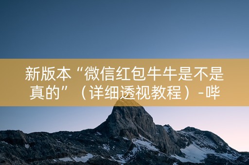 新版本“微信红包牛牛是不是真的”（详细透视教程）-哔哩哔哩
