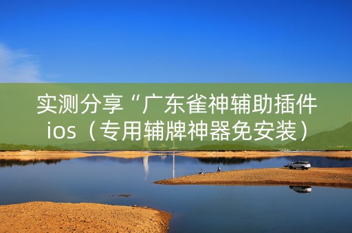 实测分享“广东雀神辅助插件ios（专用辅牌神器免安装）