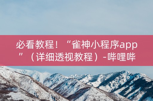 必看教程！“雀神小程序app”（详细透视教程）-哔哩哔哩