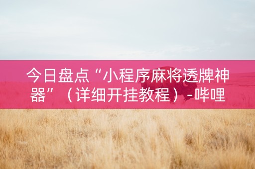 今日盘点“小程序麻将透牌神器”（详细开挂教程）-哔哩哔哩
