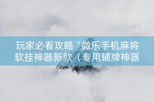 玩家必看攻略“微乐手机麻将软挂神器新款（专用辅牌神器免安装）
