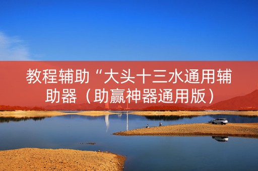 教程辅助“大头十三水通用辅助器（助赢神器通用版）