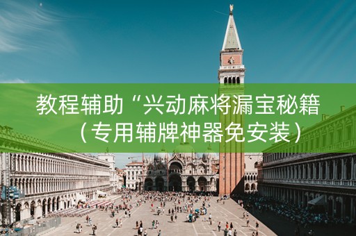 教程辅助“兴动麻将漏宝秘籍（专用辅牌神器免安装）