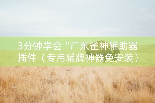 3分钟学会“广东雀神辅助器插件（专用辅牌神器免安装）