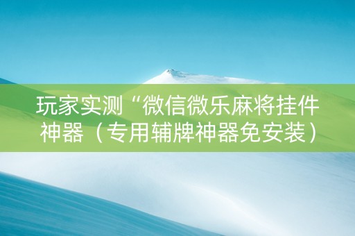 玩家实测“微信微乐麻将挂件神器（专用辅牌神器免安装）