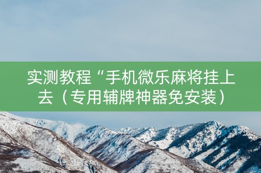 实测教程“手机微乐麻将挂上去（专用辅牌神器免安装）