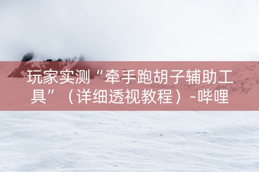 玩家实测“牵手跑胡子辅助工具”（详细透视教程）-哔哩哔哩