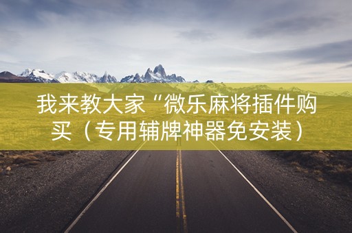 我来教大家“微乐麻将插件购买（专用辅牌神器免安装）