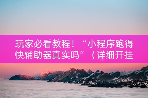 玩家必看教程！“小程序跑得快辅助器真实吗”（详细开挂教程）-哔哩哔哩