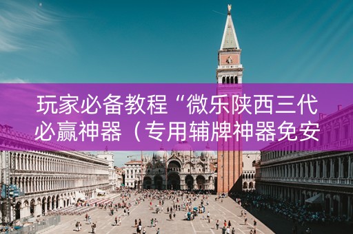 玩家必备教程“微乐陕西三代必赢神器（专用辅牌神器免安装）