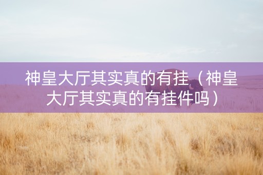 神皇大厅其实真的有挂（神皇大厅其实真的有挂件吗）