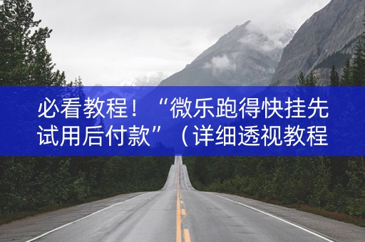 必看教程！“微乐跑得快挂先试用后付款”（详细透视教程）-哔哩哔哩