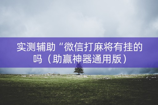 实测辅助“微信打麻将有挂的吗（助赢神器通用版）