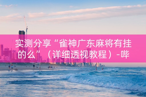 实测分享“雀神广东麻将有挂的么”（详细透视教程）-哔哩哔哩