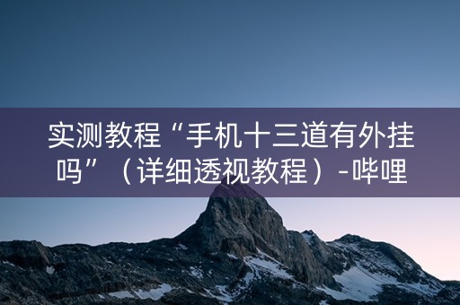 实测教程“手机十三道有外挂吗”（详细透视教程）-哔哩哔哩
