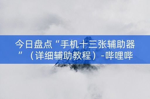今日盘点“手机十三张辅助器”（详细辅助教程）-哔哩哔哩