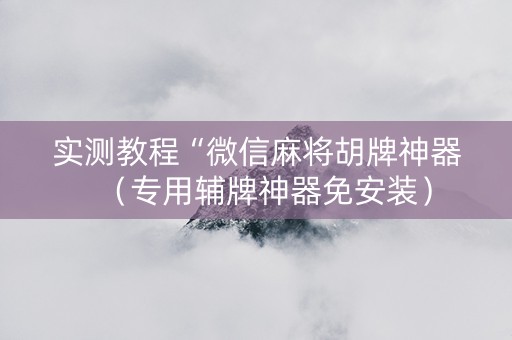 实测教程“微信麻将胡牌神器（专用辅牌神器免安装）