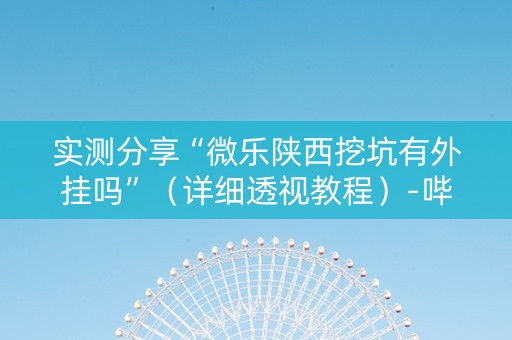 实测分享“微乐陕西挖坑有外挂吗”（详细透视教程）-哔哩哔哩