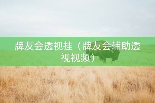 牌友会透视挂（牌友会辅助透视视频）