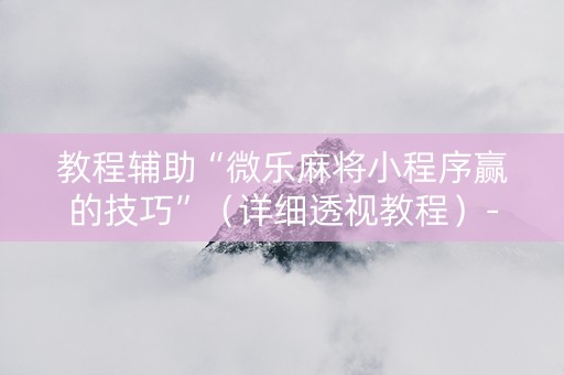 教程辅助“微乐麻将小程序赢的技巧”（详细透视教程）-哔哩哔哩