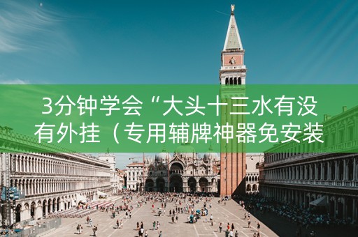 3分钟学会“大头十三水有没有外挂（专用辅牌神器免安装）