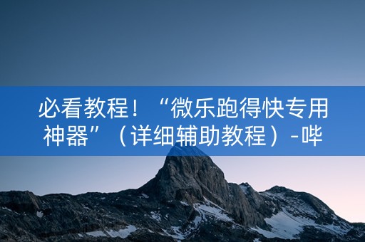 必看教程！“微乐跑得快专用神器”（详细辅助教程）-哔哩哔哩