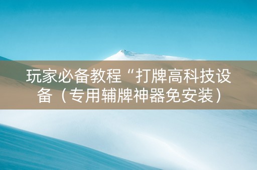 玩家必备教程“打牌高科技设备（专用辅牌神器免安装）