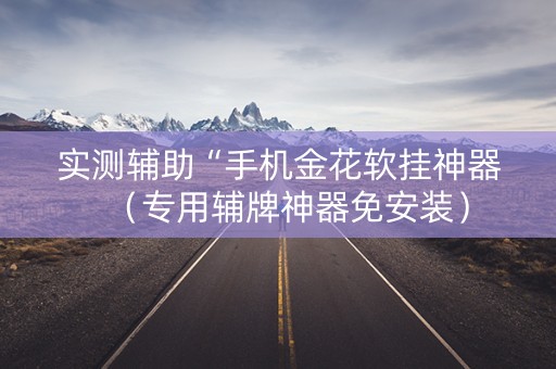 实测辅助“手机金花软挂神器（专用辅牌神器免安装）