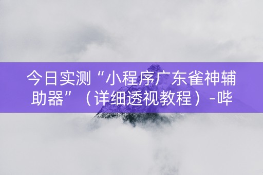 今日实测“小程序广东雀神辅助器”（详细透视教程）-哔哩哔哩