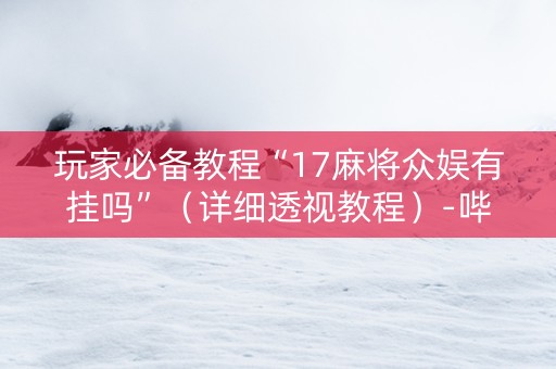 玩家必备教程“17麻将众娱有挂吗”（详细透视教程）-哔哩哔哩