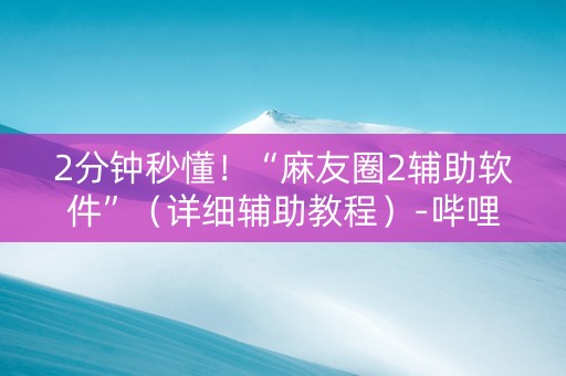 2分钟秒懂！“麻友圈2辅助软件”（详细辅助教程）-哔哩哔哩