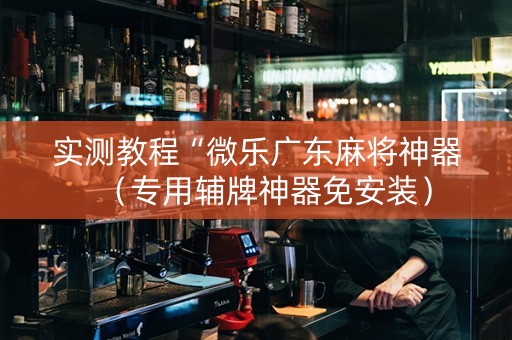 实测教程“微乐广东麻将神器（专用辅牌神器免安装）