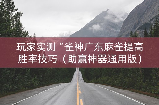 玩家实测“雀神广东麻雀提高胜率技巧（助赢神器通用版）
