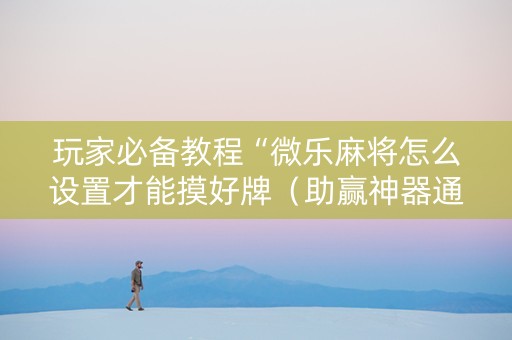 玩家必备教程“微乐麻将怎么设置才能摸好牌（助赢神器通用版）