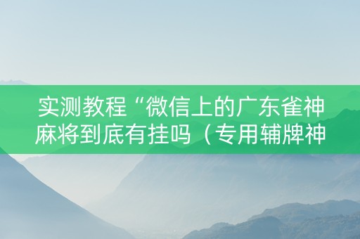 实测教程“微信上的广东雀神麻将到底有挂吗（专用辅牌神器免安装）