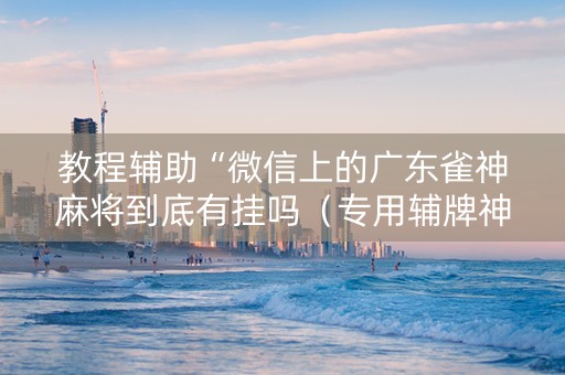 教程辅助“微信上的广东雀神麻将到底有挂吗（专用辅牌神器免安装）