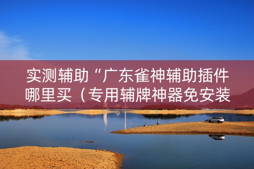 实测辅助“广东雀神辅助插件哪里买（专用辅牌神器免安装）