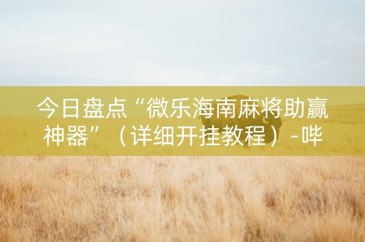 今日盘点“微乐海南麻将助赢神器”（详细开挂教程）-哔哩哔哩