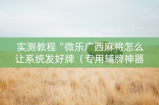 实测教程“微乐广西麻将怎么让系统发好牌（专用辅牌神器免安装）